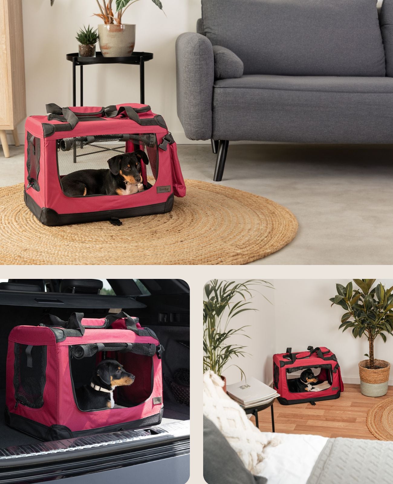 Hundetransportbox faltbar