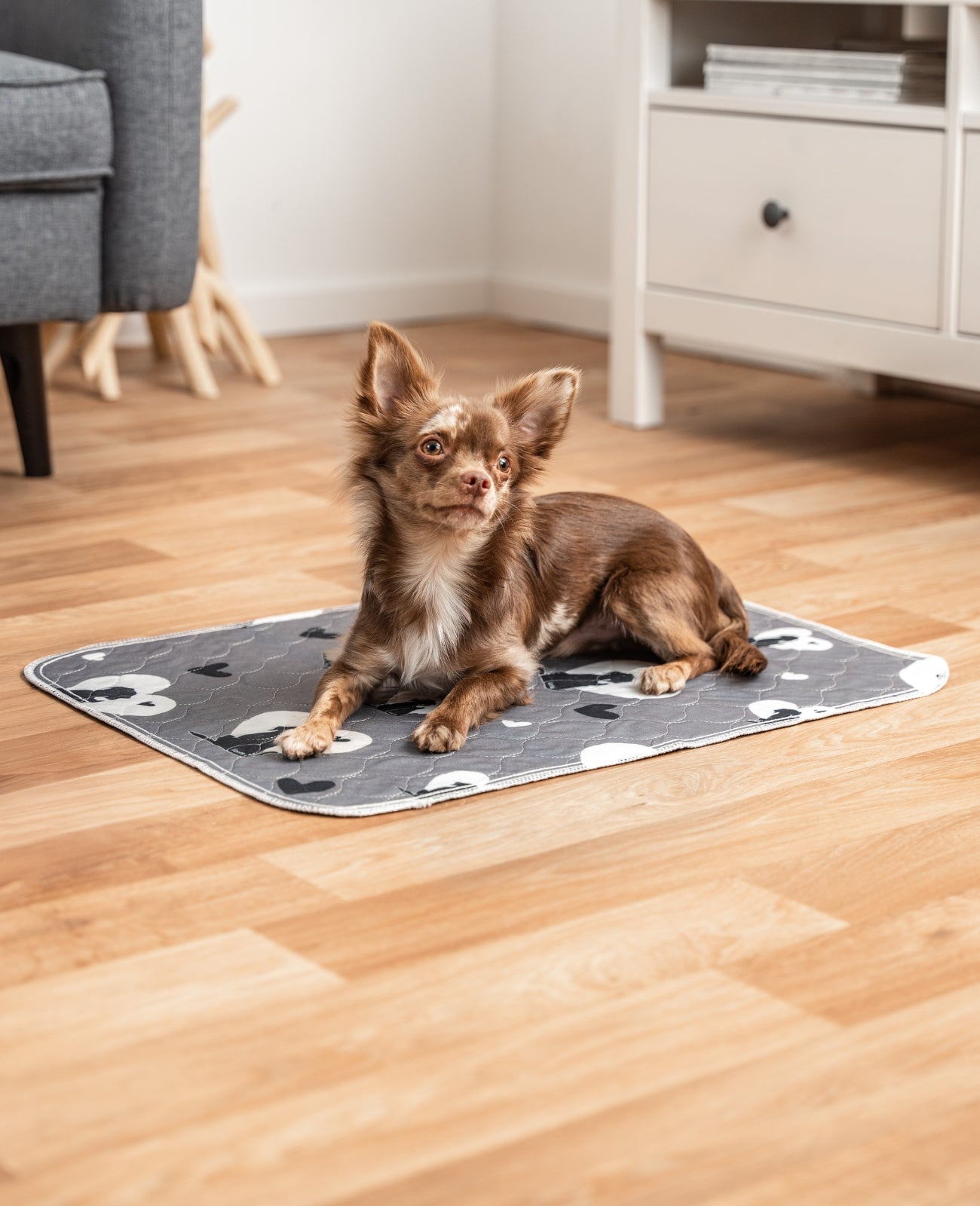 lionto herbruikbare Puppy pads 2-delige set, antislip, grijs