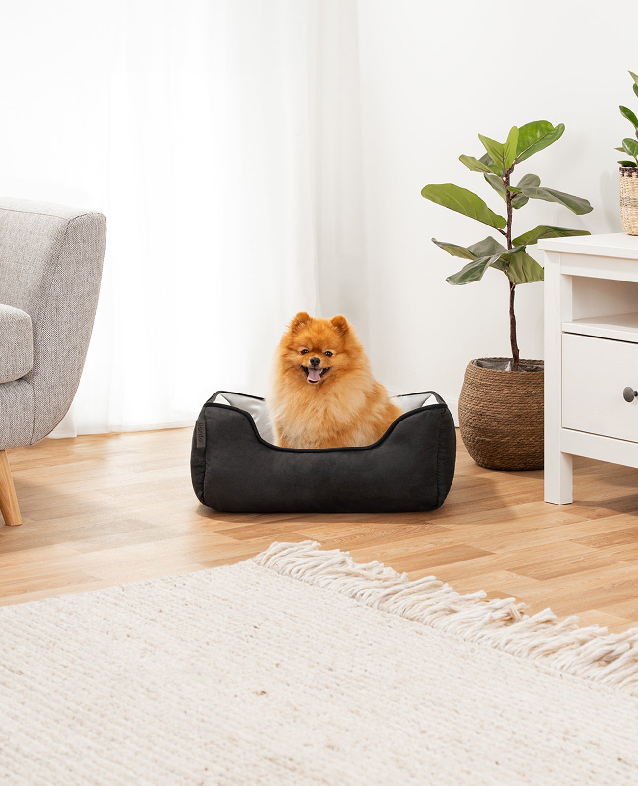 2-in-1 Hundebett in Wildlederoptik