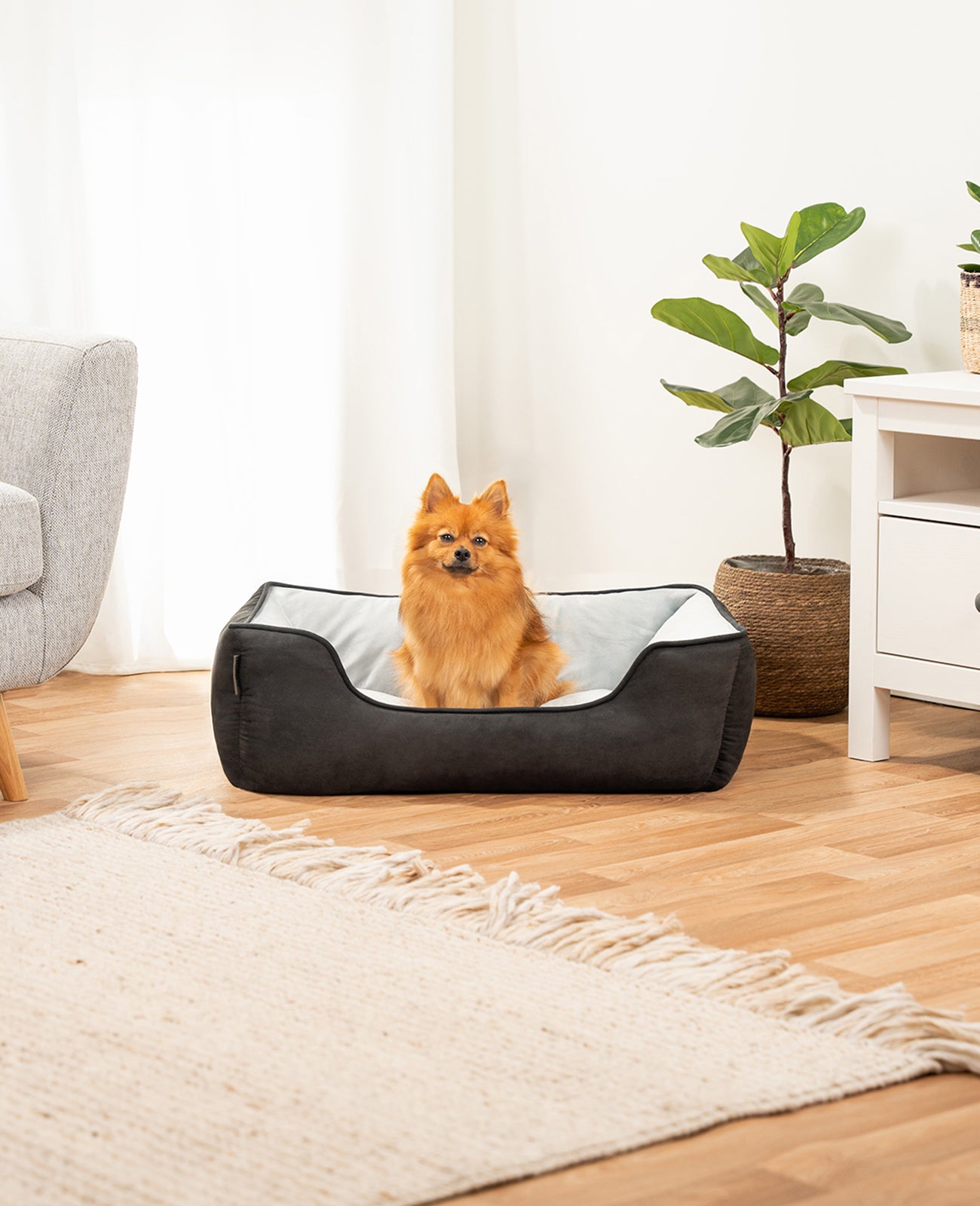 2-in-1 Hundebett in Wildlederoptik