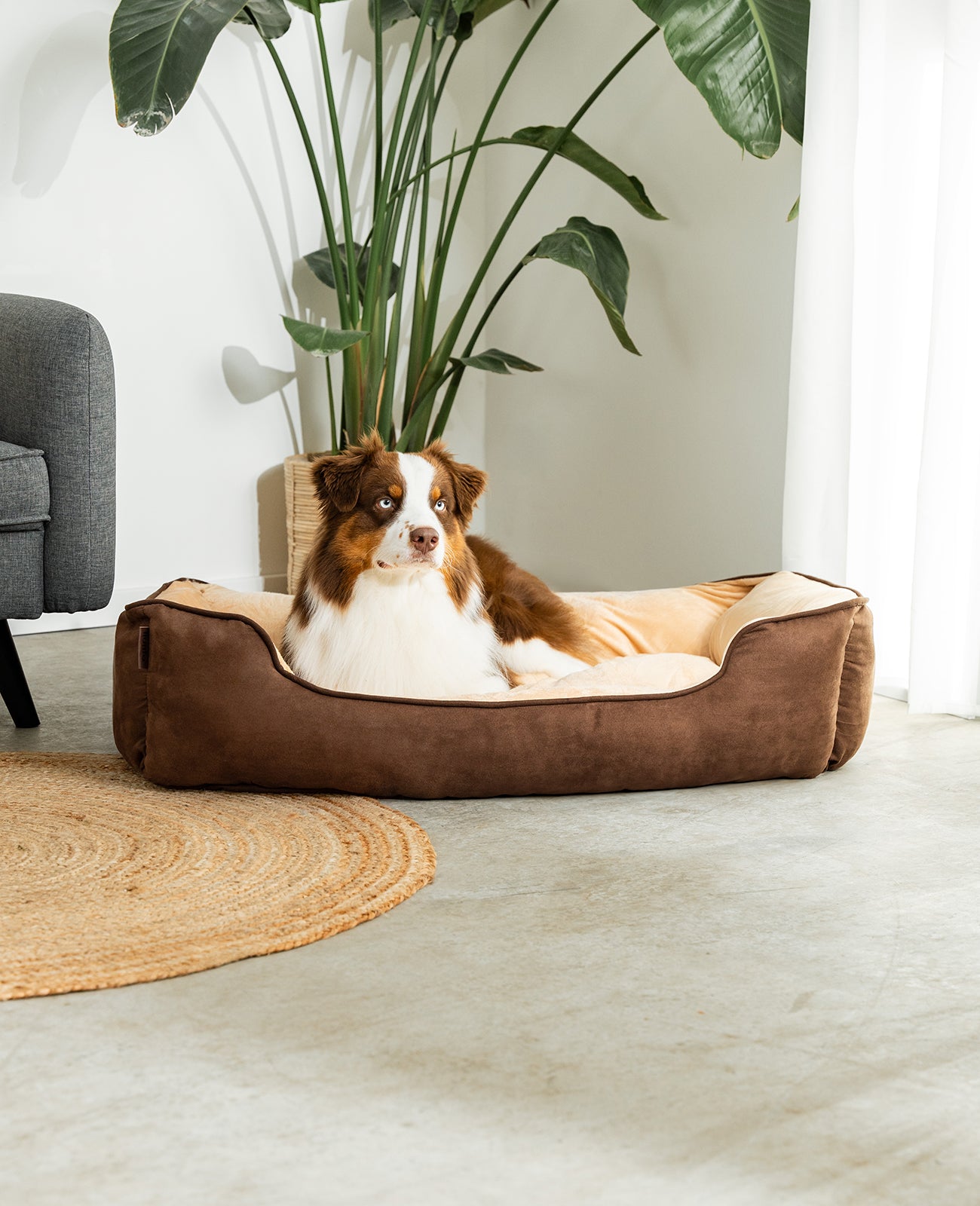 2-in-1 Hundebett in Wildlederoptik