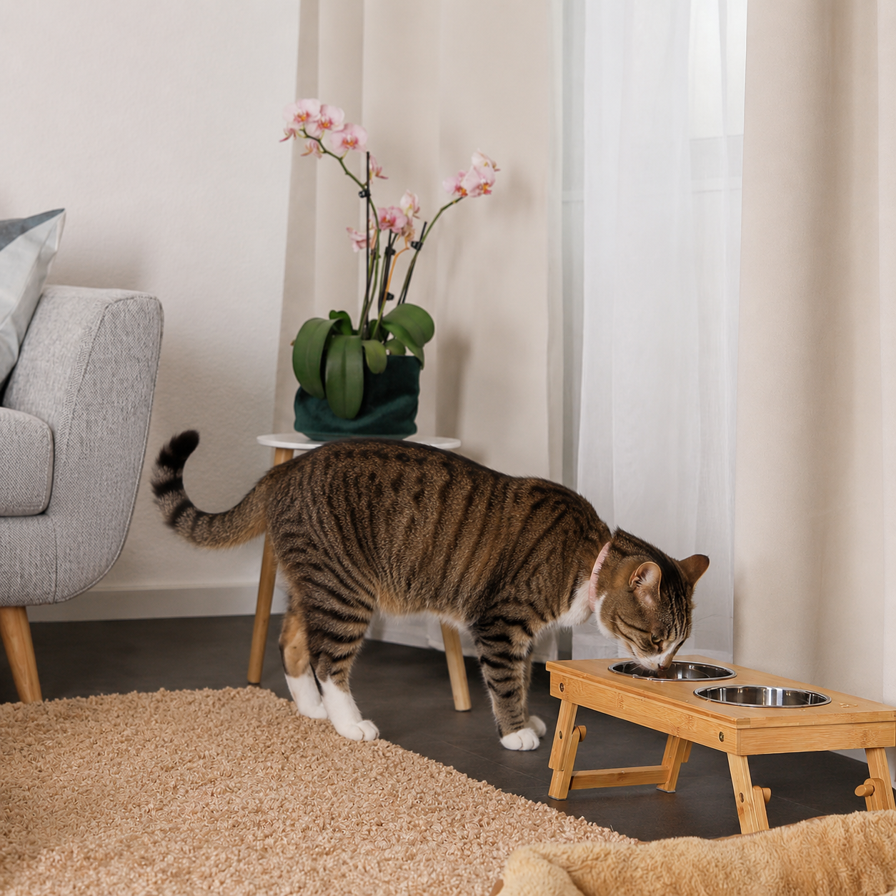 Voederstation voor katten met bamboeframe