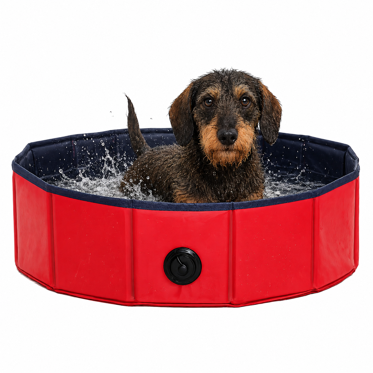 Faltbarer Hundepool